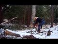 Lumberjack-Skogshuggar´n med vajerspelet