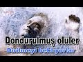 Dondurulmuş İnsanlar - Cryonics Projesi