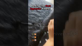 Ranking The Most Aggressive Kittens Ever 💀 #cat #cats #kitten #catmemes #shorts #catshorts