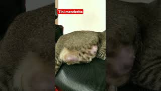 Tini Kesakitan Karena Mimiknya Membengkak, Anaknya Tidak Ada Yang Mimik Lagi