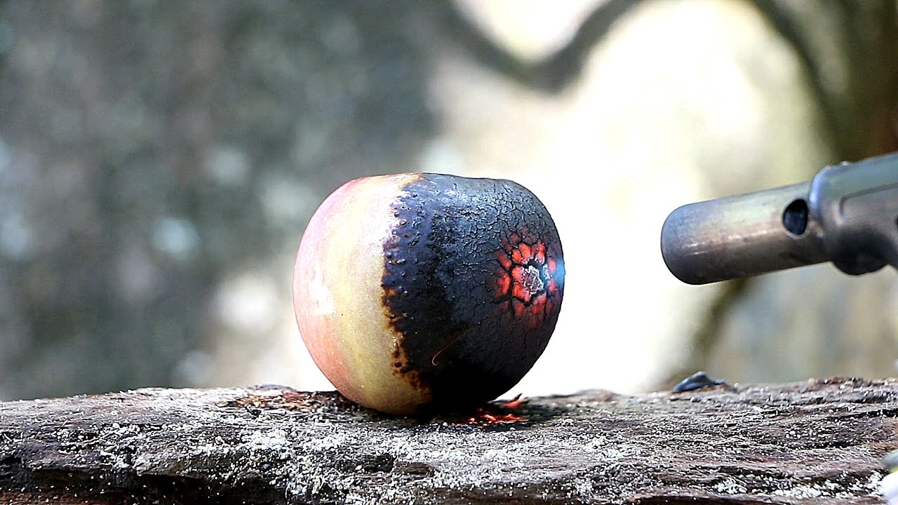 APPLE VS GAS TORCH