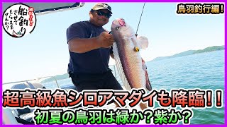 タイラバ & SLJ！in 鳥羽！＠グッチ艇 2/3 vol.1100 - YouTube