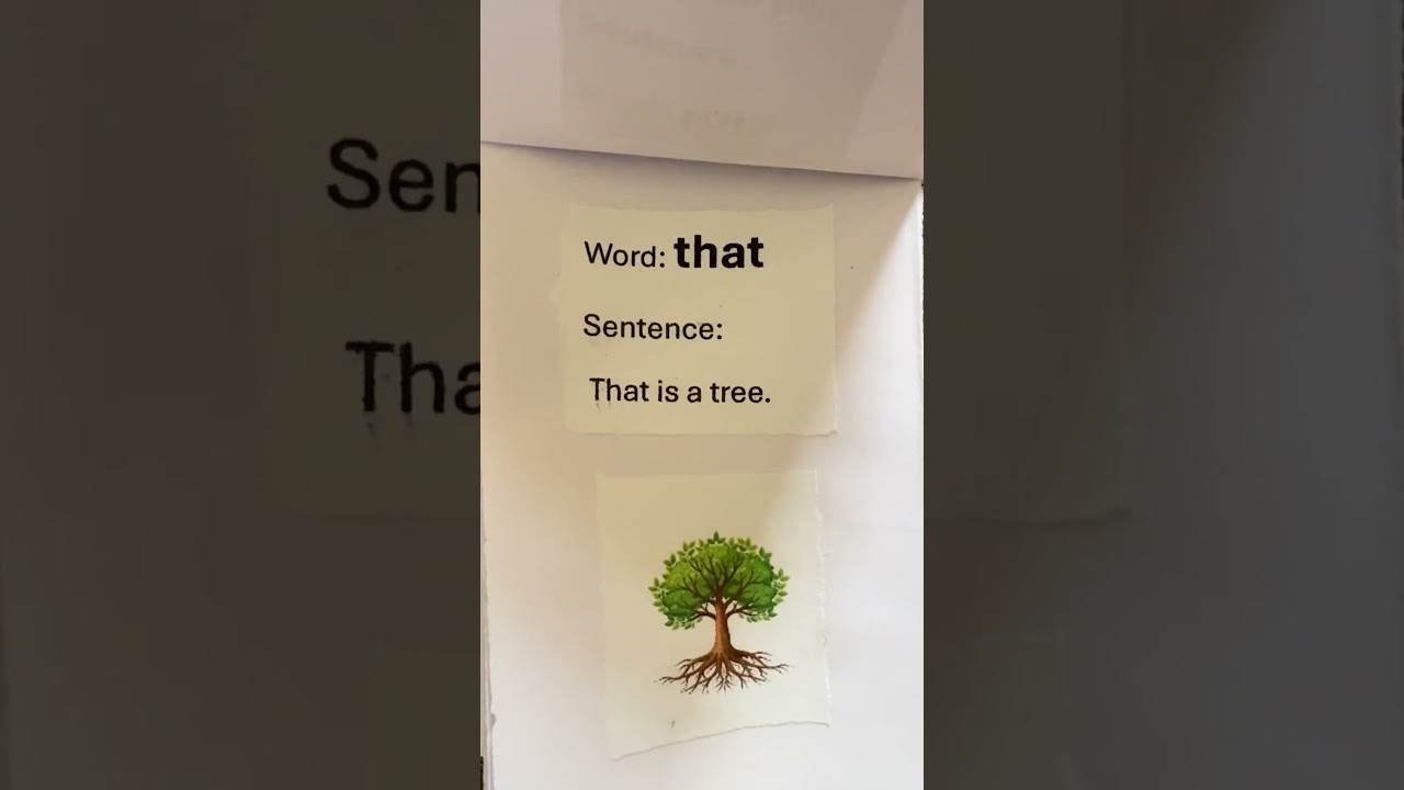 My Sight Words Book 📘✨ Simple and Easy sight words book for KG kids 📘✨