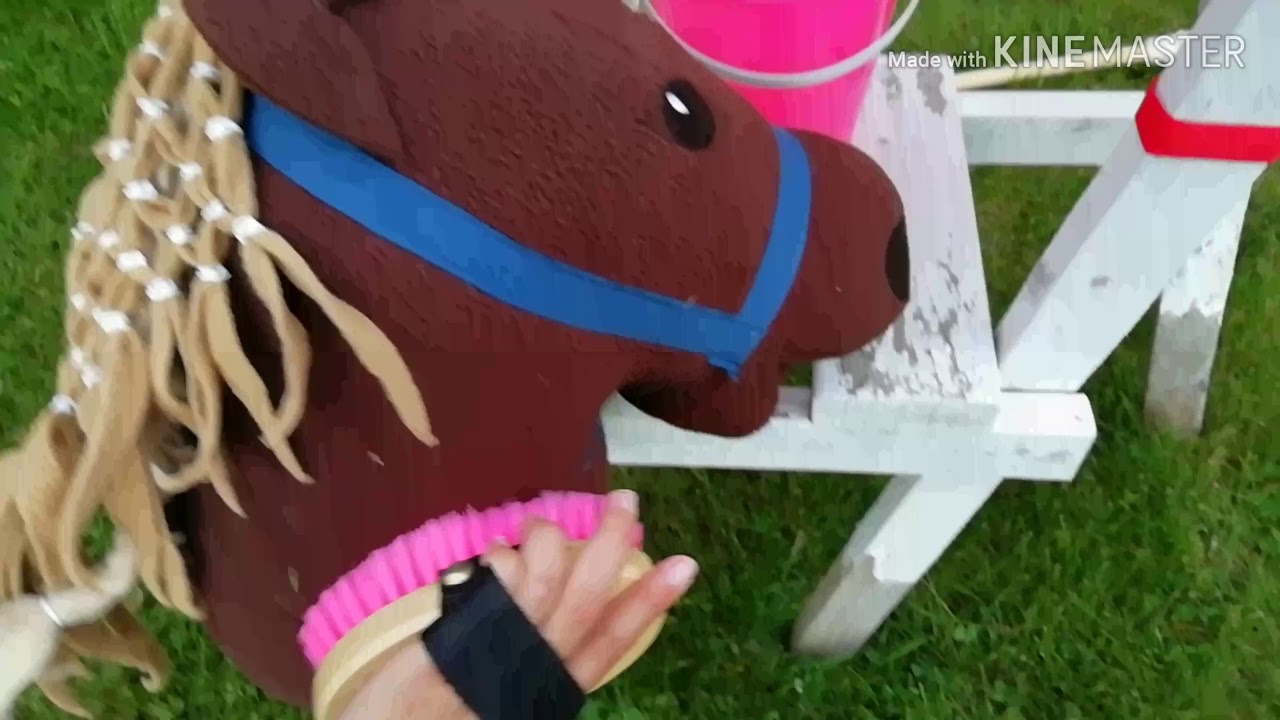 Keppihevostalli sateenkaari 🌈(uimista)