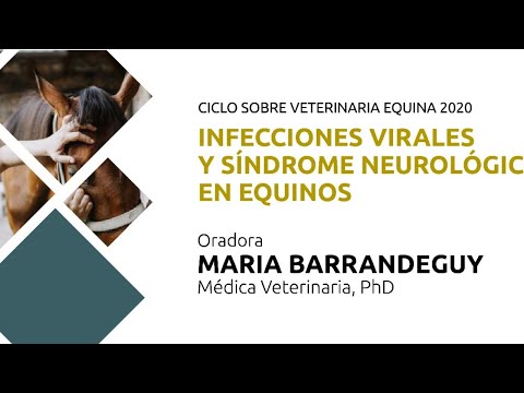 Video: Virus Neurológico En Caballos