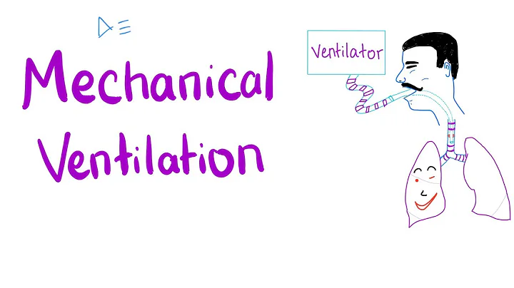 Mechanical Ventilation - Most COMPREHENSIVE Explanation! 🤫 - DayDayNews