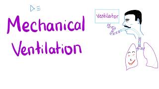 Mechanical Ventilation  Most COMPREHENSIVE Explanation!