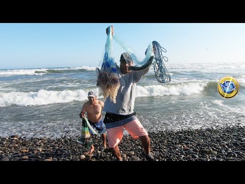 Video: Bolt Staccare E Altri Trucchi Di Pesca