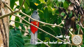 004 عبد الباسط عبد الصمد   سورة النساء