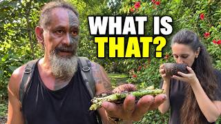 This Grows Wild Here… And We Use It as Medicine