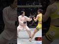 【激しい打ち合いから右フックKO】NEO太極拳 vs 総合格闘技 #mma #taichi