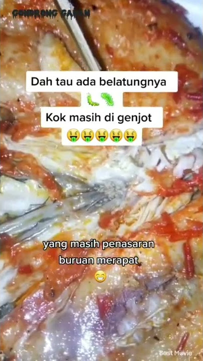 SOSMED DI GEMPARKAN LINK VIDEO BELATUNG | AWAS JANGAN MUNTAH