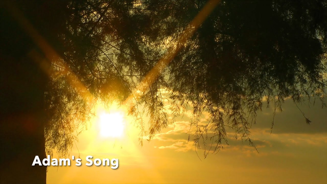Adam's Song Original Song from The Wanderer Scorned by Natasha