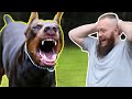 Aggressive Dog Fixed In SECONDS! You'd Never Guess What We Discovered!