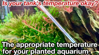 The appropriate water temperature for a planted aquarium.How to grow Bolbitis Heudelotii Microsorum