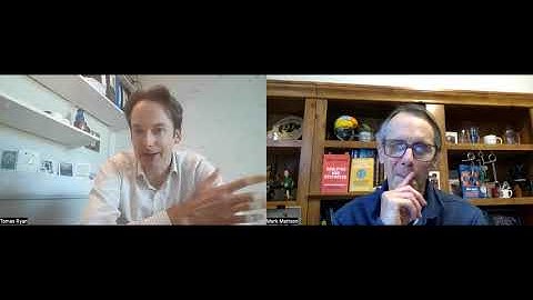 Tomás Ryan: Competition Between Memory Engrams and The Importance of Forgetting