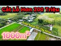 Gồng 2 năm với lô đất 1000m² giờ chấp nhận xả lỗ hơn 200 Triệu để giải quyết công việc