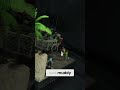 My first time using water effects on a diorama!