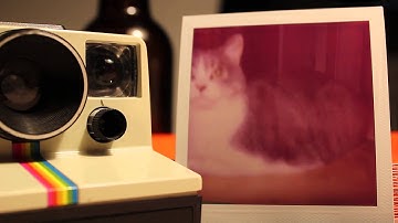 Polaroid OneStep SX-70 Exposure 1x