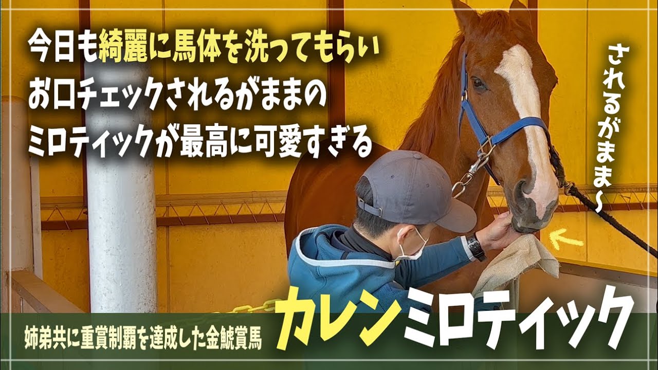 ブラストワンピース】得意技が可愛いすぎる！ブラスト仕込みのぶんぶん
