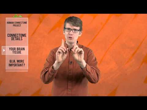 Major Brain Dump! Instructional Video