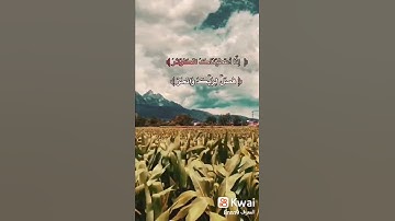 سورة الكوثر بصوت جميل جدا ومريح للسمع 🌿🕊️