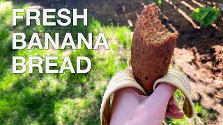 Банановый хлеб - Ты отстой в готовке (эпизод 110)