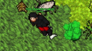 Mac Bonebreaker | GIANT SPIDER (Solera, Tibia 7.3)