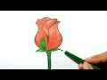 Hướng dẫn VẼ HOA HỒNG I How to draw a Rose II Ong Mật Mỹ Thuật #96