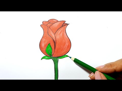 Hướng dẫn VẼ HOA HỒNG I How to draw a Rose II Ong Mật Mỹ Thuật #96