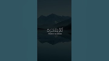 ياسر الدوسري - سورة النحل