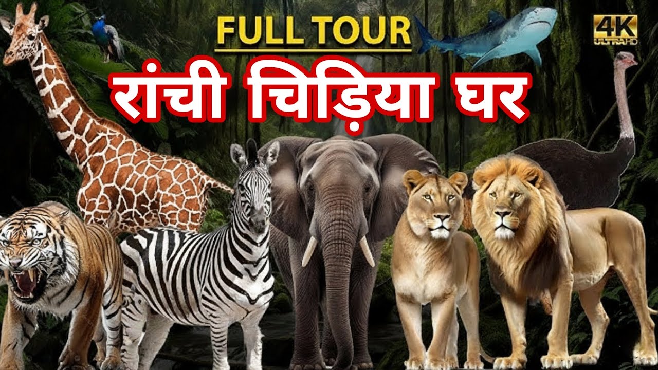 रांची चिड़िया घर 🐘 Ormanjhi Zoo Ranchi 🦁 Ranchi Zoo 2026 🦌 Birsa Munda Biological Park 🐊 Vlog Ranchi