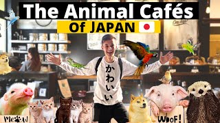 استكشاف عالم مقاهي الحيوانات الرائع في اليابان 🇯🇵 screenshot 2