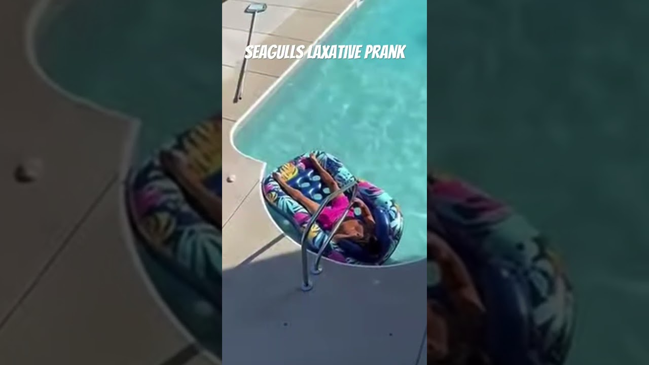 чайки слабительный розыгрыш 