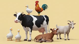 Çiftlik Hayvanlarını Öğreniyoruz Çocuklar İçin Eğitici Hayvan Hayvan Sesleri