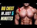 Ultimate Chest Workout: Target Upper, Middle, Lower Chest &amp; Inner Line | Full Guide 