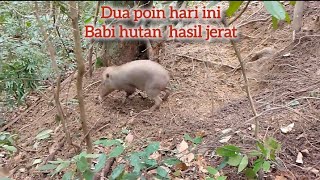 cek jerat babi hutan diatas bukit_berhasil dua poin