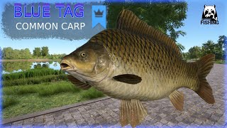 Russian Fishing 4 RF4 The Amber Lake BLUE TAG | COMMON CARP |