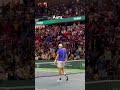 berrettini passion ❤️‍🔥❤️‍🔥 #shorts #daviscup #matteoberrettini