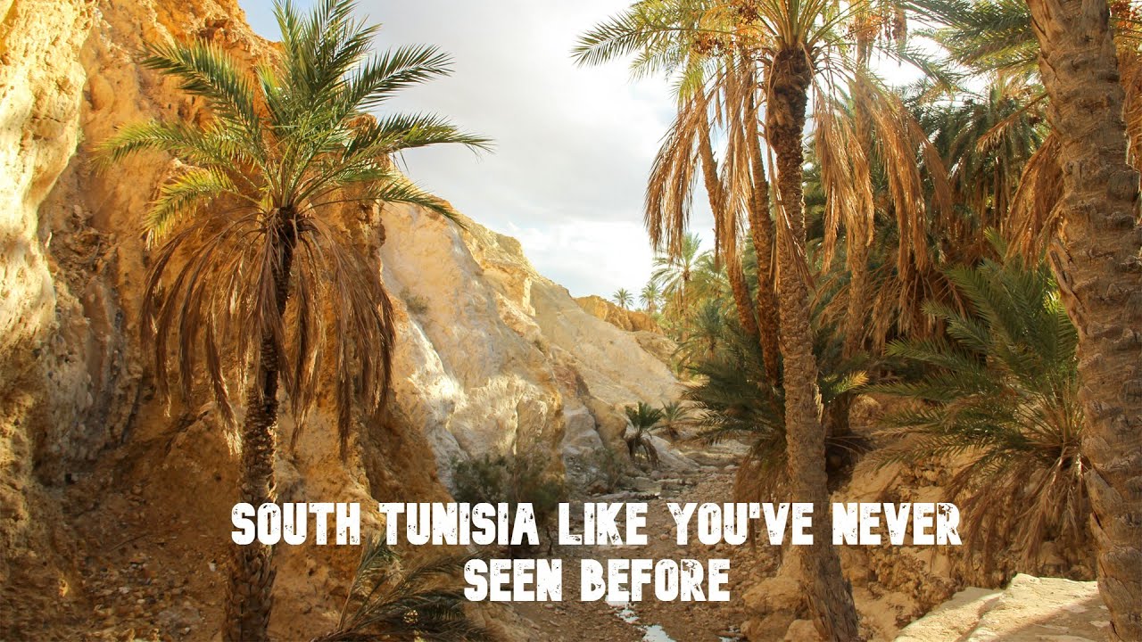 واحة الشبيكة _تمغزى _عنق الجمل (توزر) | south tunisia Like you've never seen before