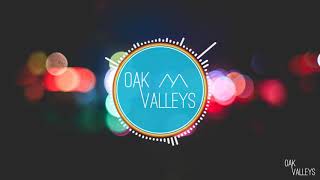 WildVibes & VARGENTA Ft. Arild Aas - Our Time