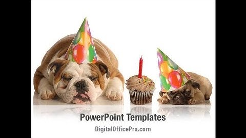 Happy Birthday Puppy PowerPoint Template Backgrounds - DigitalOfficePro #05265