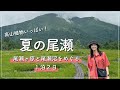 【尾瀬】鳩待峠から尾瀬ヶ原〜尾瀬沼へと歩く1泊2日！ガイドさんの解説つき！