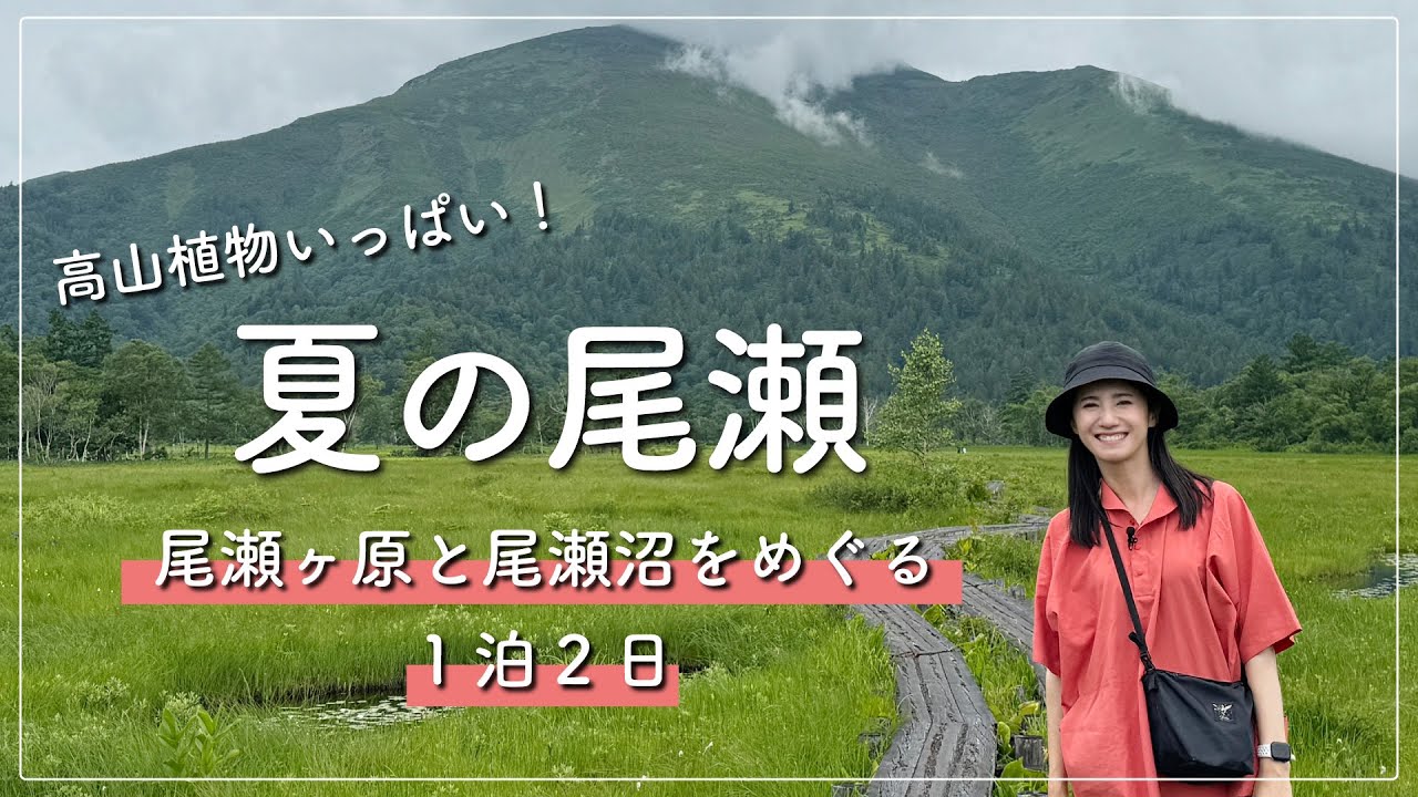 【尾瀬】鳩待峠から尾瀬ヶ原〜尾瀬沼へと歩く1泊2日！ガイドさんの解説つき！