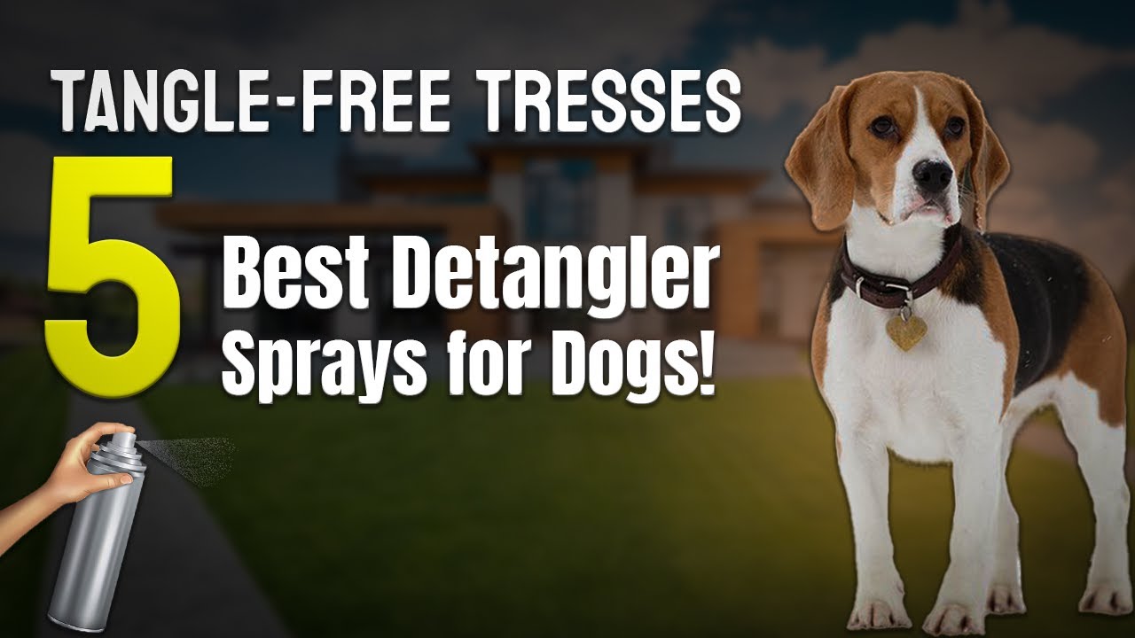 Tangle-Free Tresses: 5 Best Detangler Sprays for Dogs! 💇🐾