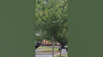 CSX Hanover sub local L 137 shunting cars part 2