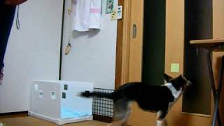 DSCF9682.AVI