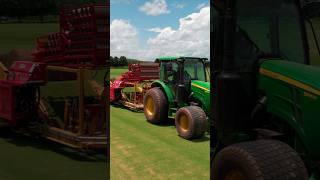 Harvesting the sod for The Patch.