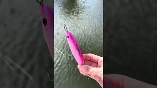 Hooked On You custom topwater lures! In peanut, skitterwalk, and wake bait. #lures  #lurefishing