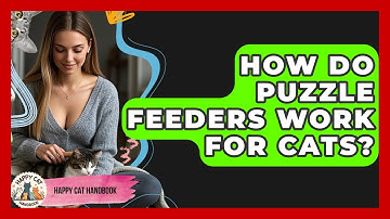 How Do Puzzle Feeders Work For Cats? - Happy Cat Handbook